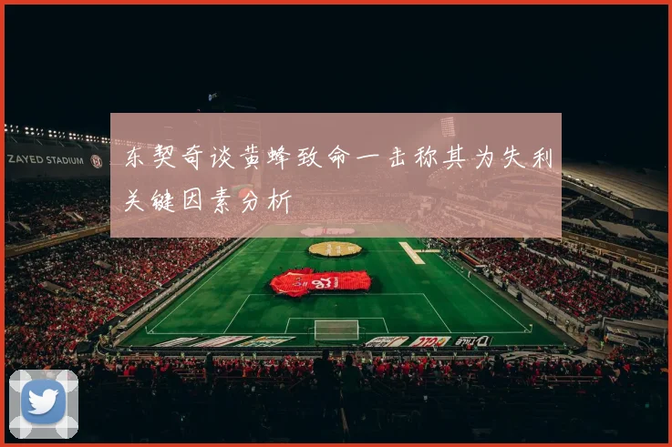 东契奇谈黄蜂致命一击称其为失利关键因素分析